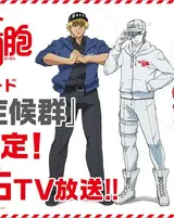 Hataraku Saibou: Kaze Shoukougun