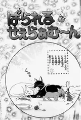 Parallel Sailor Moon