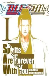 Bleach: Spirits Are Forever with You