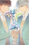 Romance no Hakoniwa
