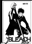 Bleach