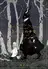 Totsukuni no Shoujo
