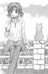 Travel To The Cats' Territory