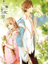 Love Like Cherry Blossoms