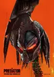 The Predator