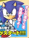 Sonic and the Black Knight