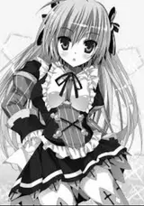 Seiju no Kuni no Kinjutsukai