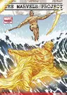 The Marvels Project