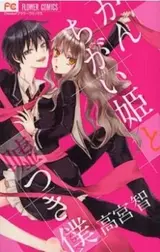 Kanchigai Hime to Usotsuki Shimobe