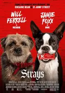 Strays