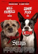 Strays