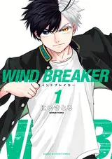 Wind Breaker