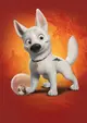 Bolt