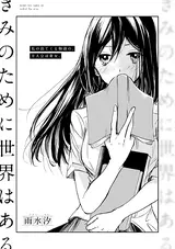 Kimi no Tame ni Sekai wa Aru