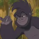 Terk