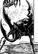 Zegion