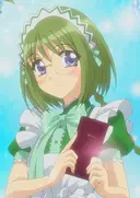 Lettuce Midorikawa