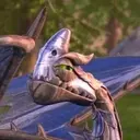 Wingnut