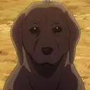 Brown Dog