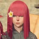 Popola