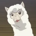 Alpaca