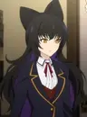 Blake Belladonna
