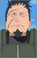 Nara Shikaku