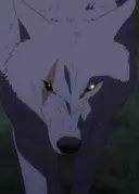 Dire Wolf Leader