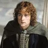 Peregrin Took