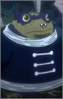 Sapo
