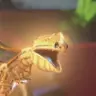 Glowmer