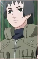 Tsubaki
