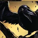 Munin