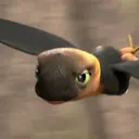 Dart