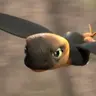 Dart