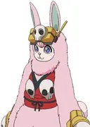 Drone Rabbit