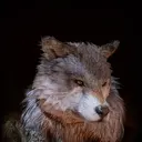 Speki