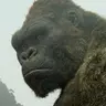 Kong