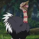 Condor