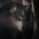 Torgal