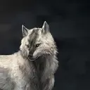 Skoll