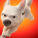 Bolt
