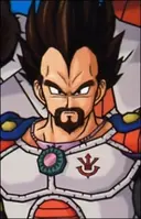 Rei Vegeta