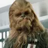 Chewbacca
