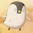 Pochi