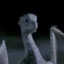 Aithusa