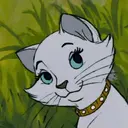 Duchess