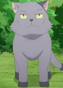 Stray Cat