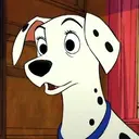 Perdita