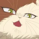 Roku